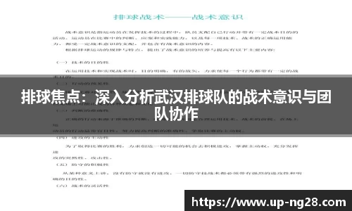 排球焦点：深入分析武汉排球队的战术意识与团队协作